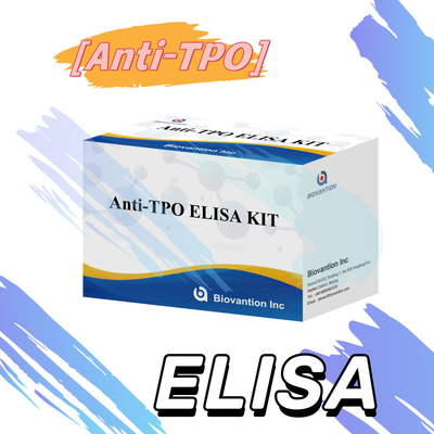 مجموعة اختبار TPO Elisa المريحة والدقيقة للكشف عن الأمراض ومراقبتها