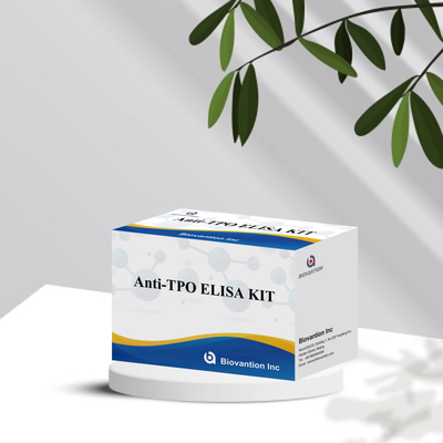مجموعة اختبار TPO Elisa المريحة والدقيقة للكشف عن الأمراض ومراقبتها