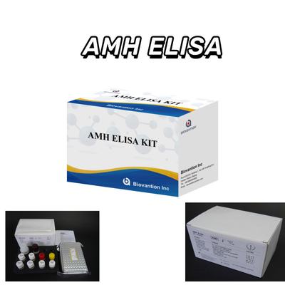 اختبار IVD الهرمون المضاد لمولر AMH Elisa للكشف عن البشر مع اختبار 96