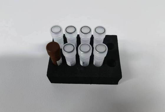 اختبار PCR لدرجة عالية من الكشف عن حمى الضنك باستخدام 48 اختبار