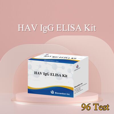 مجموعة اختبار ELISA لـ IgG ضد التهاب الكبد الوبائي A عالية الحساسية (0.2 نانوغرام/مل) معتمدة من CE للكشف الدقيق عن فيروس التهاب الكبد A في 96 اختبارًا