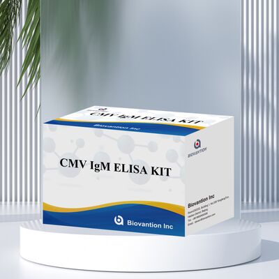 طقم اختبار مقايسة الممتز المناعي المرتبط بالإنزيم (ELISA) لـ CMV مع كشف لوني وطريقة الساندويتش لأجسام مضادة لفيروس المضخم للخلايا