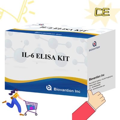 IL-6 Interleukin-6 Human ELISA Kit مع دقة 99٪ 24 شهرًا و 96 اختبارًا / Kit