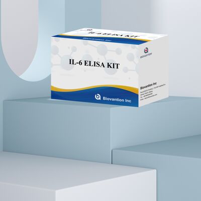 IL-6 Interleukin-6 Human ELISA Kit مع دقة 99٪ 24 شهرًا و 96 اختبارًا / Kit