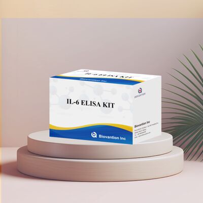 IL-6 Interleukin-6 Human ELISA Kit مع دقة 99٪ 24 شهرًا و 96 اختبارًا / Kit