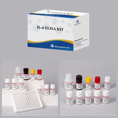IL-6 Interleukin-6 Human ELISA Kit مع دقة 99٪ 24 شهرًا و 96 اختبارًا / Kit