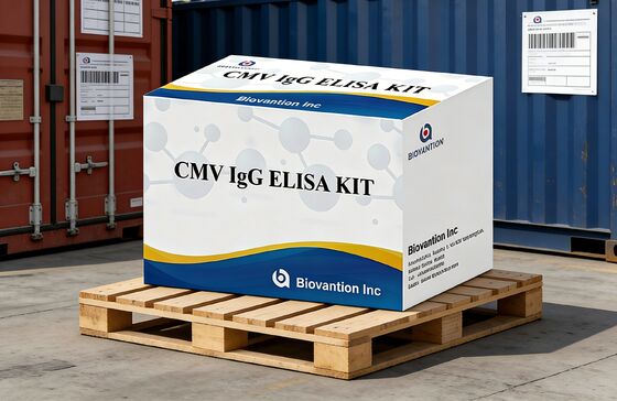 مجموعة اختبار CMV IgG Elisa عالية الدقة للمختبر أو المستشفى