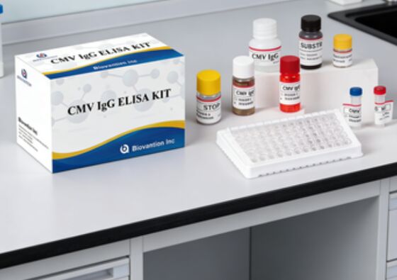 مجموعة اختبار CMV IgG Elisa عالية الدقة للمختبر أو المستشفى