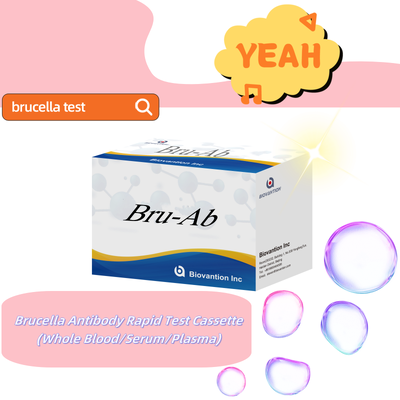 مجموعة اختبار ELISA لمضادات الكريات البروسيلا البشرية IgG/IgM للكشف عن العينة البشرية