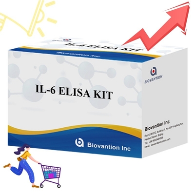 High Sensitivity ELISA Kit for IL6 Detection - Reliable Research Reagents for Accurate Cytokine Analysis