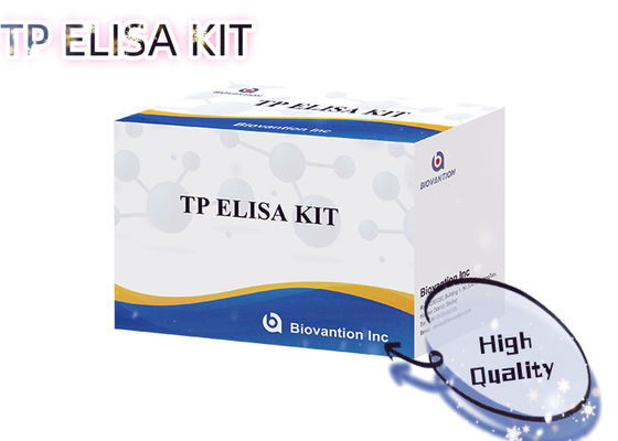 اختبار التهاب الزهري TP ELISA 96T الكشف عن الأجسام المضادة لـ Treponema Pallidum المصل البشري