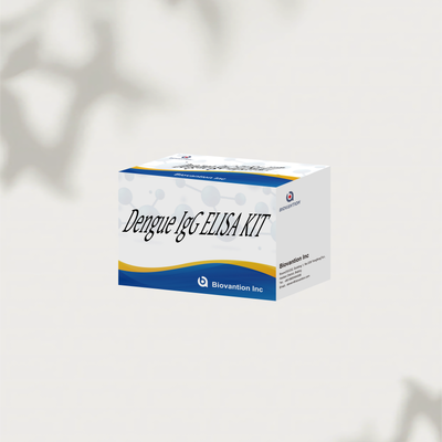 كيت اختبار الدينغا IgG ELISA 96T فيروس الدينغا البشري IgG الكشف الكمي عن الأجسام المضادة